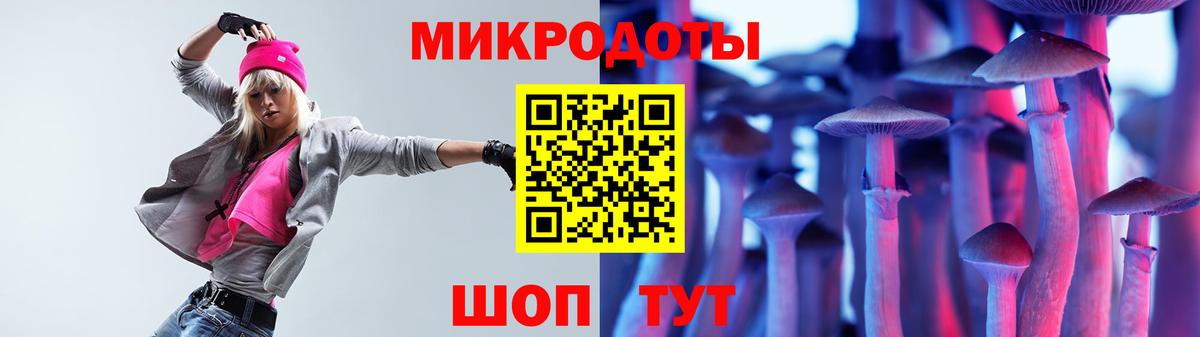 Тавда  Псилоцибиновые грибы MAGIC MUSHROOMS  купить   Псилоцибиновые грибы Cubensis  Вход с VPN 